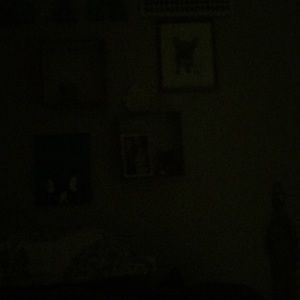 Meet your Posher, Holly